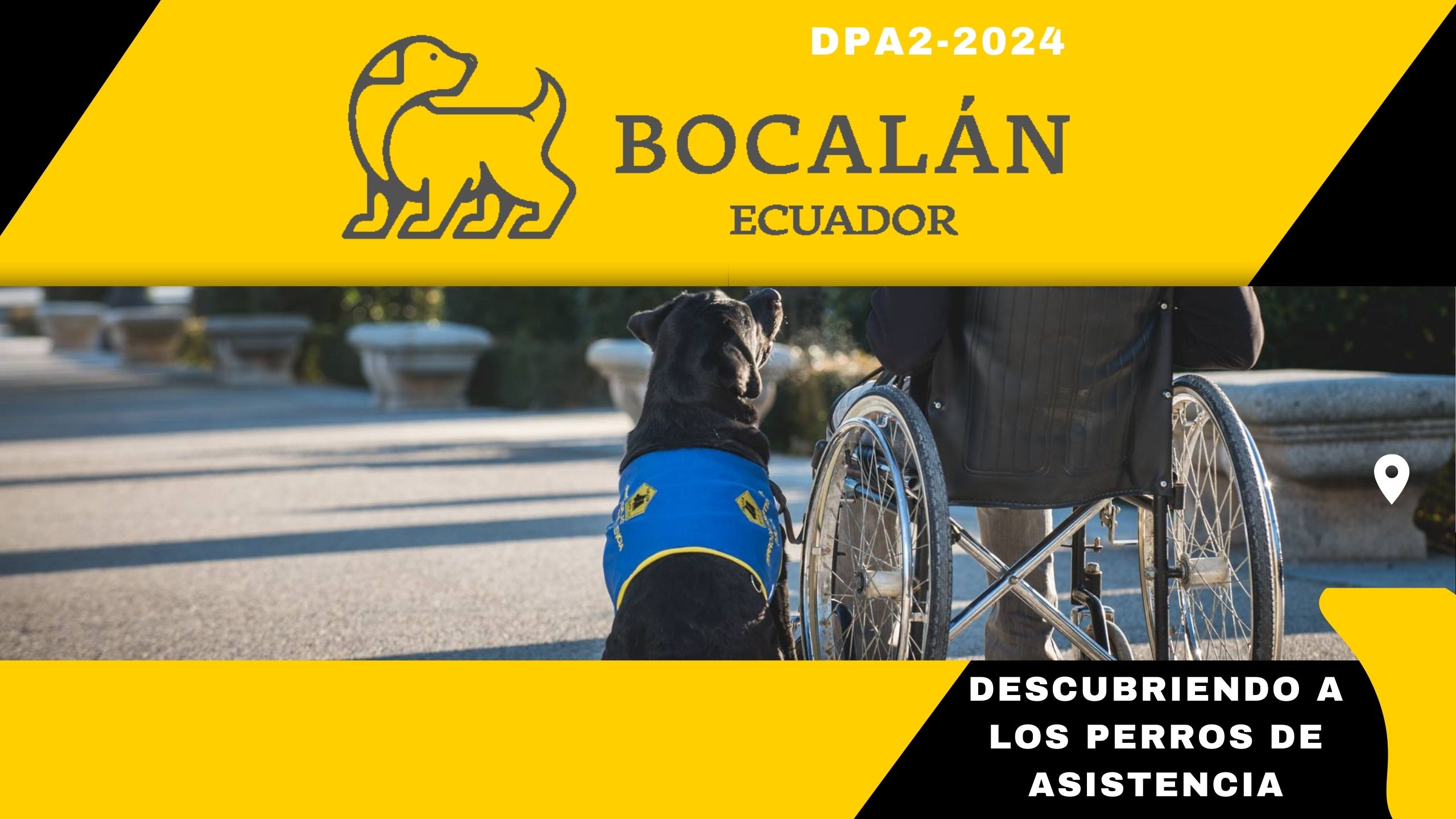 Course Image Descubriendo a los perros de asistencia